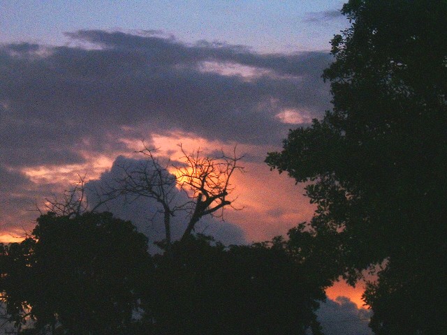 C.K.Aldrey, Sunset in my Neighborhood 1