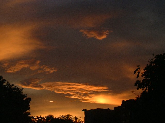 Sunset in my Neighborhood 2